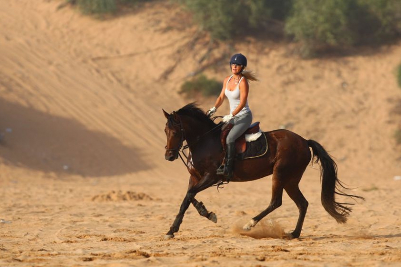 Horse Riding Marrakech
